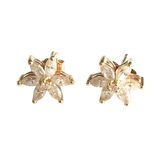14K Gold Dazzling Floral Stud Earrings with Premium Cubic Zirconia