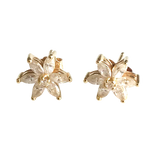 14K Gold Dazzling Floral Stud Earrings with Premium Cubic Zirconia