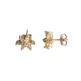 14K Gold Dazzling Floral Stud Earrings with Premium Cubic Zirconia